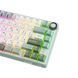 Ігрова дротова клавіатура Royal Kludge RK R75 75% RGB USB 2474544783 фото 2