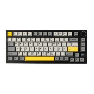 Бездротова клавіатура AJAZZ AK820 PRO Flying Fish RGB 75% Gray AK820-PRO-B-G фото